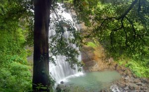 Places To Visit Near Nashik In Monsoon - Ashoka Waterfall