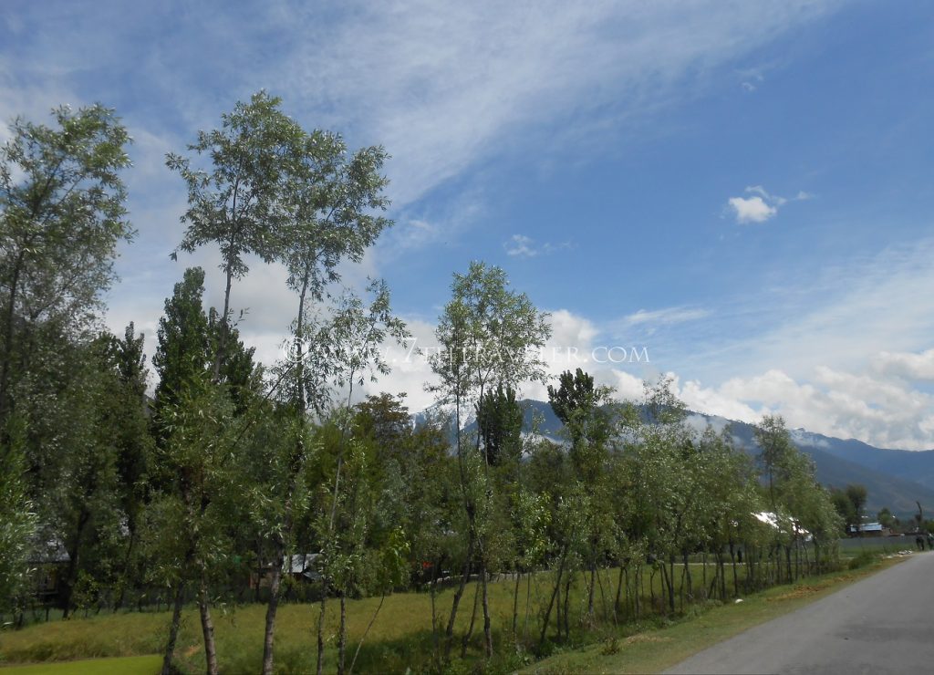 Sonmarg Photo Gallery