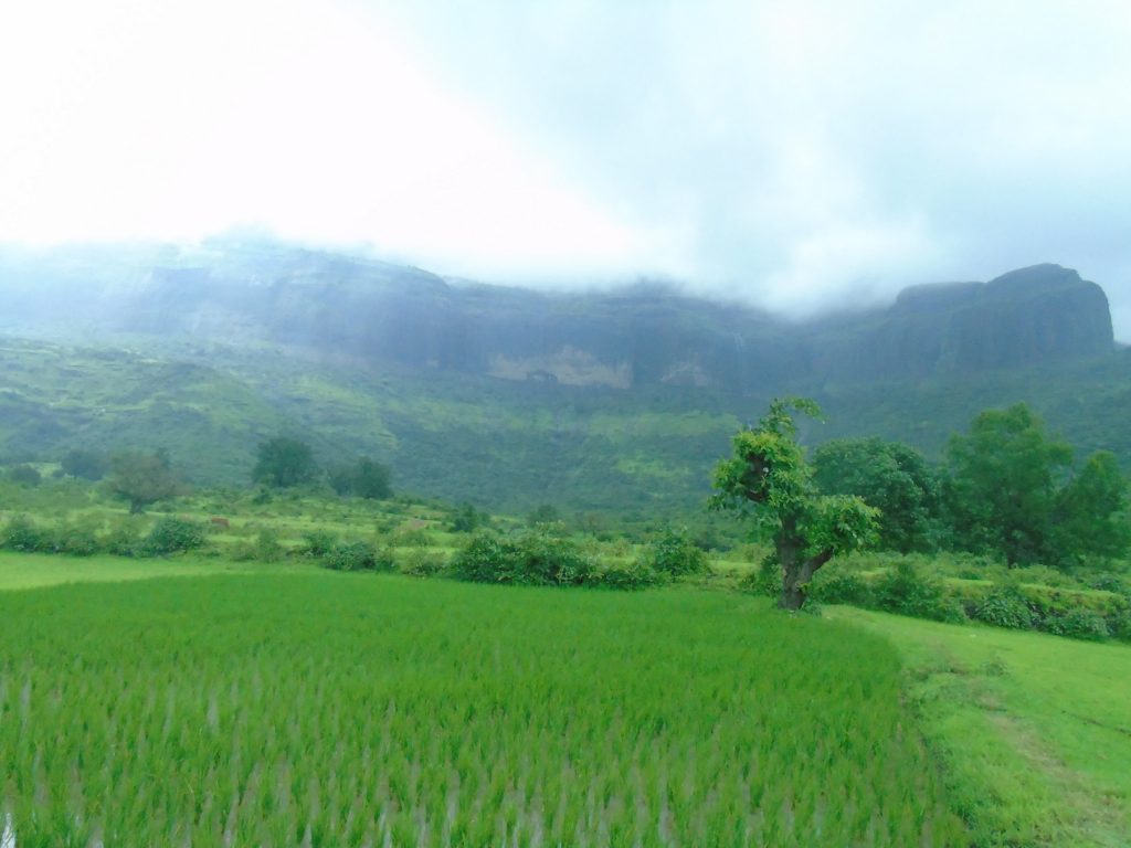 Pegalwadi Trimbakeshwar Nashik