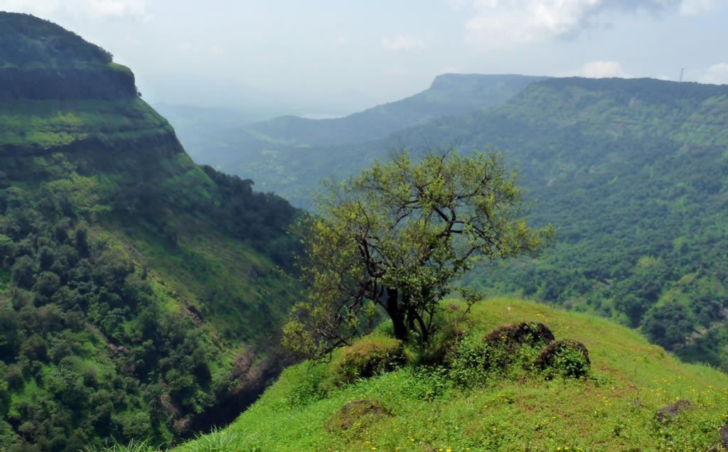 Amazing Fact Matheran Hill Station Maharashtra