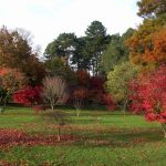 Roath Park Cardiff Opening Times 2024, Lake Boats, Cafe Information