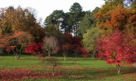Roath Park Cardiff Opening Times 2024, Lake Boats, Cafe Information