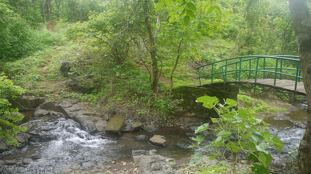 Karnala Bird Sanctuary Entry Fees & Timings