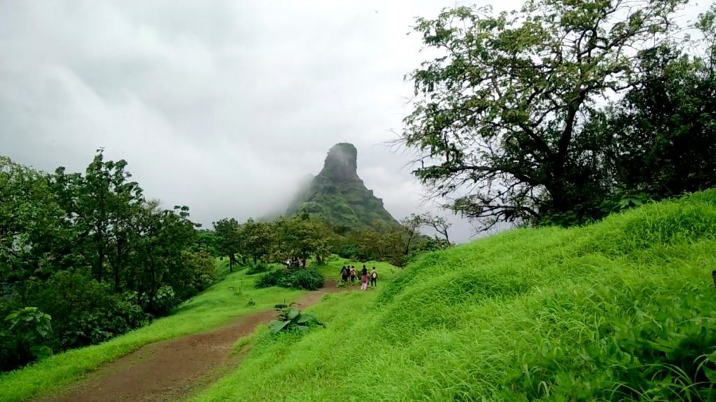 Karnala Bird Sanctuary Images