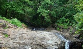 Tungareshwar National Park Entry Fee 2024, Timings, Address, Contact Number, Reviews Information