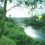 Koyna Wildlife Sanctuary Entry Fee, Timings, Bookings, Best Time To Visit, Reviews