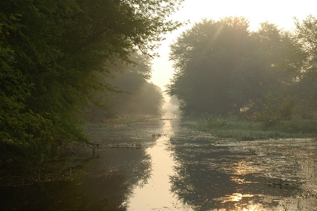 Keoladeo Ghana National Park Bharatpur Photos