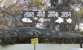 Patna Zoo Ticket Price, Timings, Online Booking, Contact Number, Map Location