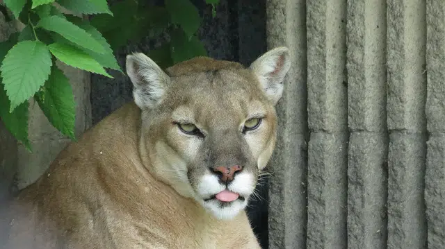 Winnipeg Zoo